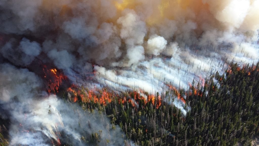 California wildfire damage