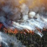 California wildfire damage