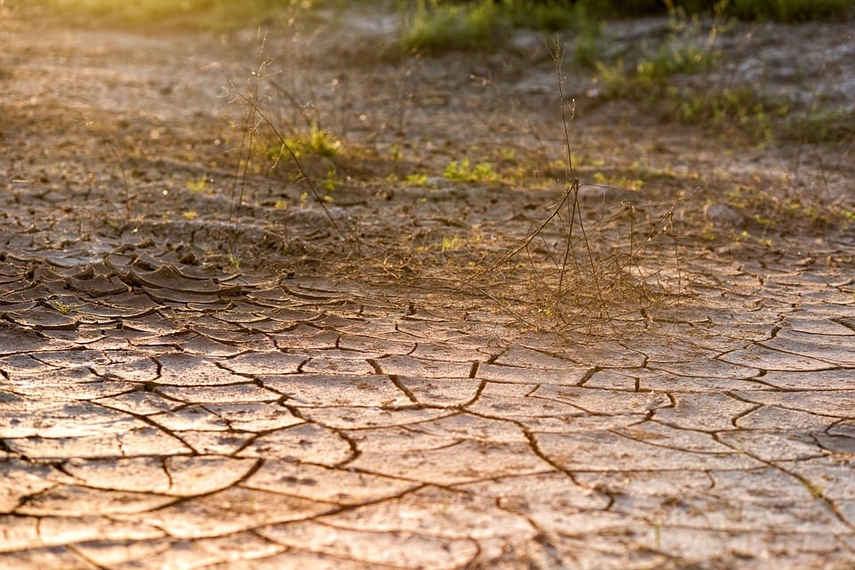 drought crop insurance coverage