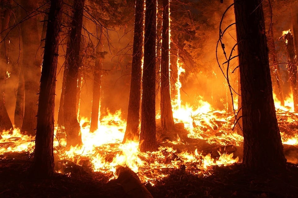 california wildfire insurance