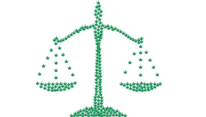 Cannabis Industry Insurance - Cannibas Scale - legal system