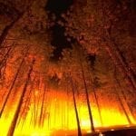 Wildfire insurance problems - Forest Fire