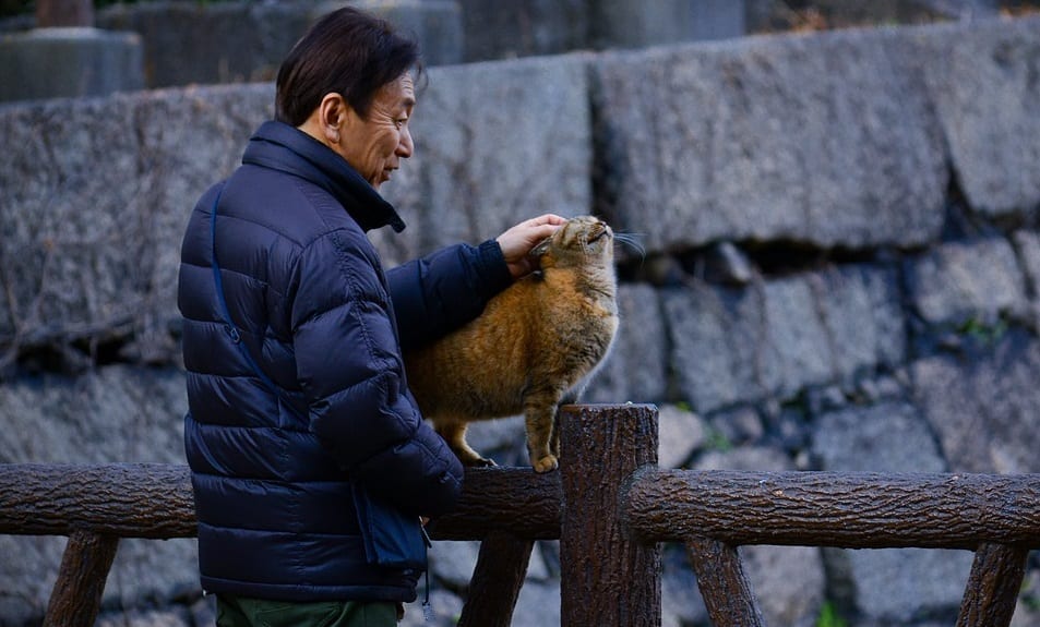 Japanese Pet Insurance - Man with Cat in Japan