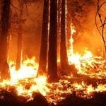 California Insurance Industry - Wildfires