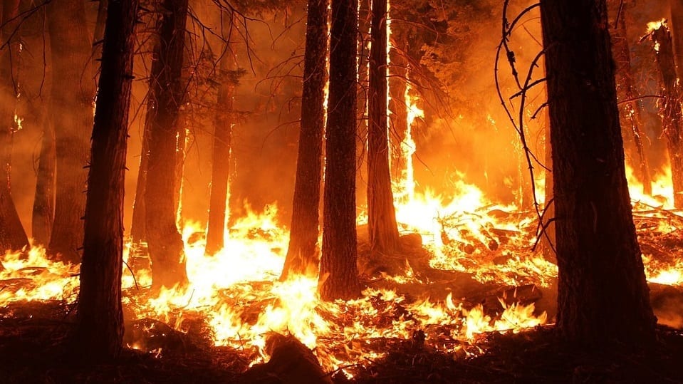 California Insurance Industry - Wildfires