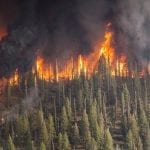 Allstate Wildfire Losses - Fire in forest