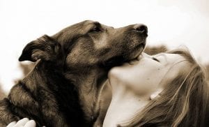 pet health - dog with girl