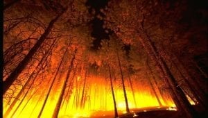 camp fire lawsuit - wildfire