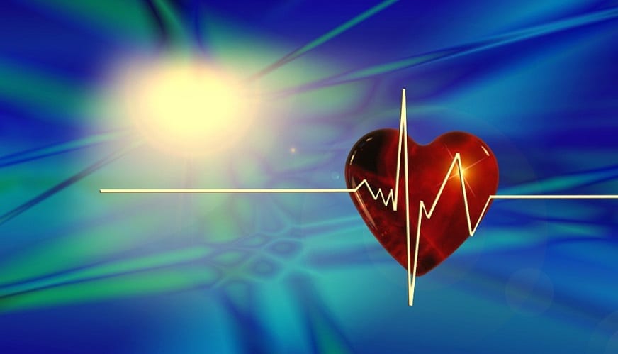 Cardiovascular disease risk - Heart - Health - Pulse