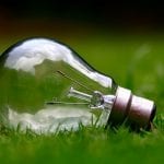 Renewable Energy Industry Insurance Claims - Lightbulb on Grass
