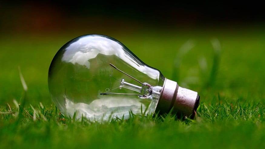 Renewable Energy Industry Insurance Claims - Lightbulb on Grass