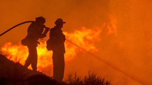 California fire insurance companies - Firefighters fighting wildfire