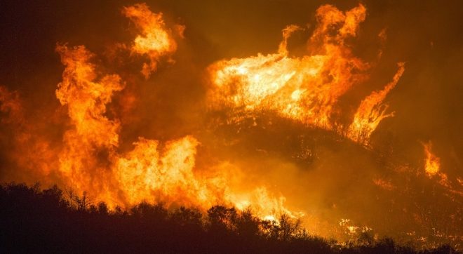California wildfire preparedness - forest fire