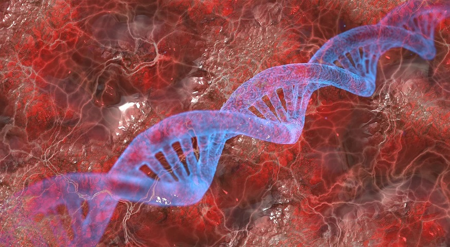 DNA test results - DNA - Gene - Cell