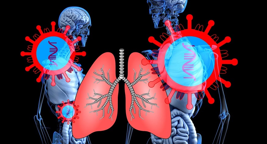 coronavirus testing - disease - health