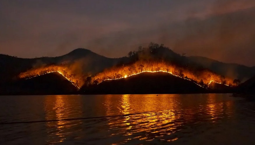 Fire hardening - Wildfires