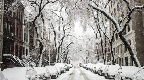 Texas storm claims - Snow in city street