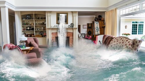 Florida flood insurance rates - water in house