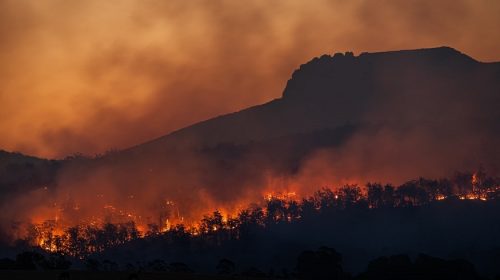 California wildfires - forest on fire