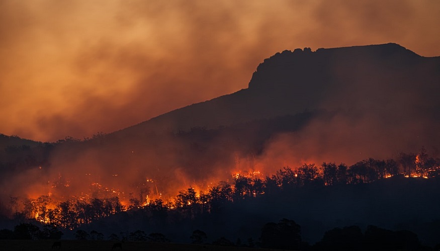 California wildfires - forest on fire