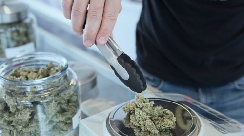 Marijuana legalization - store selling cannabis