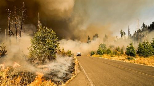 Wildfire Myths - forest fire