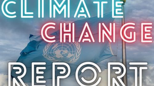 Insurance Industry - UN Climate Change Report