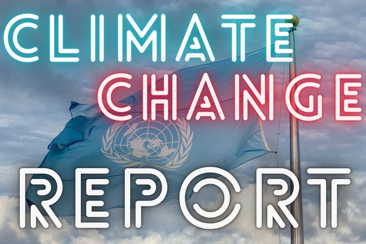 Insurance Industry - UN Climate Change Report