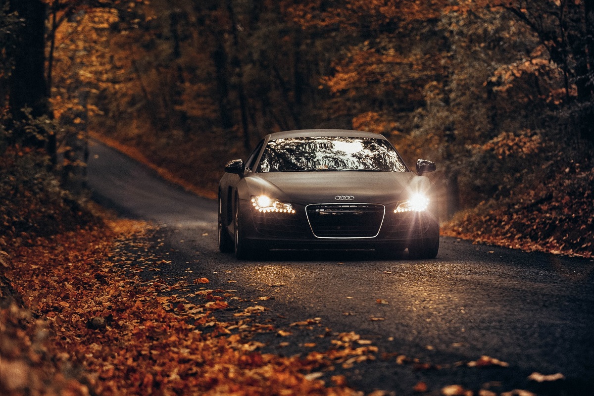Luxury vehicle insurance - Audi autumn leaves