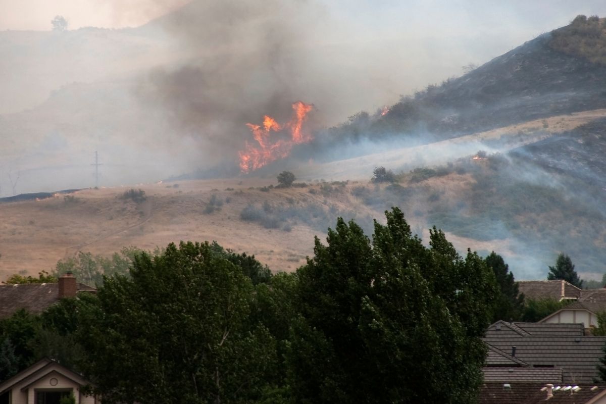 California insurance commissioner - Wildfire near homes