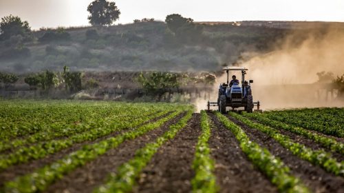 Agricultural insurance - Farm