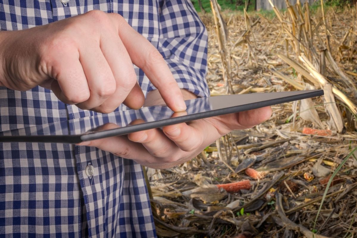 Crop insurance - Person using laptop