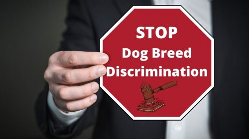 Home insurance - bill to stop discriminating dog breeds