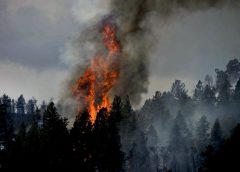 Insurance companies want Marshall fire victims in Colorado to contact them now