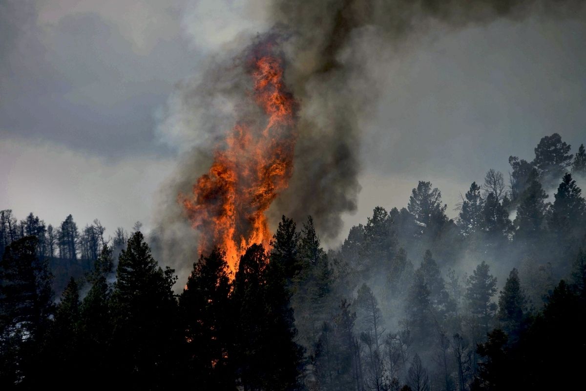 Insurance companies - Fire in Colorado