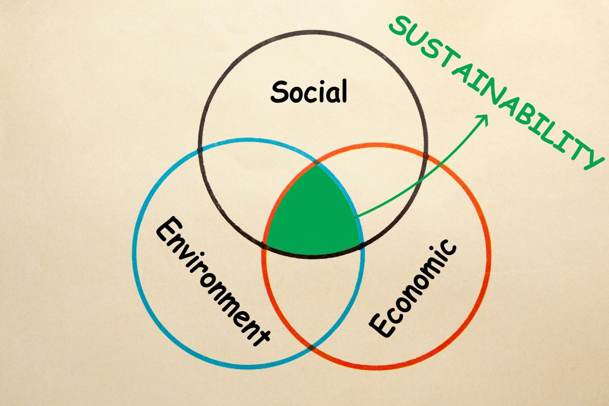 Insurance company - sustainability report