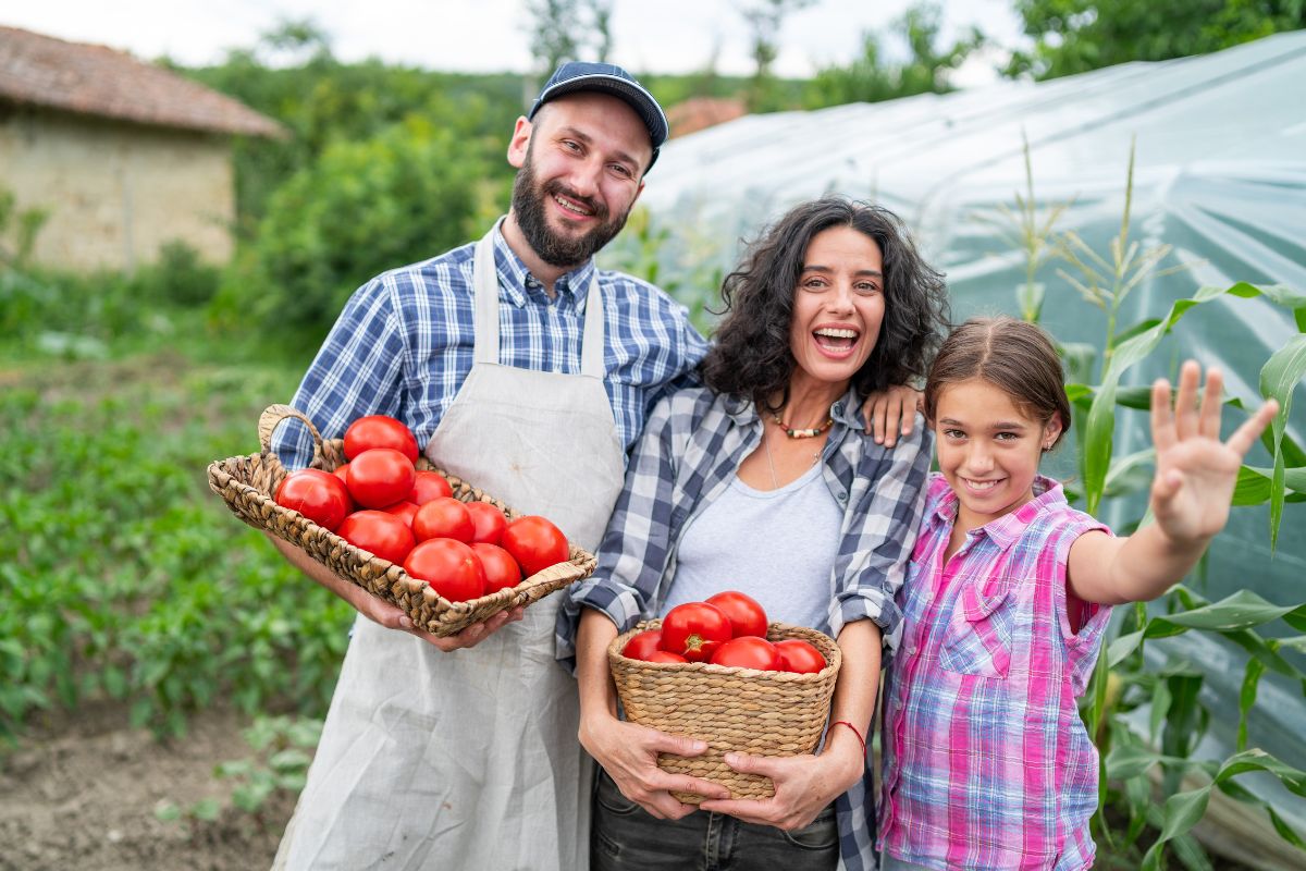 Crop insurance - farming families