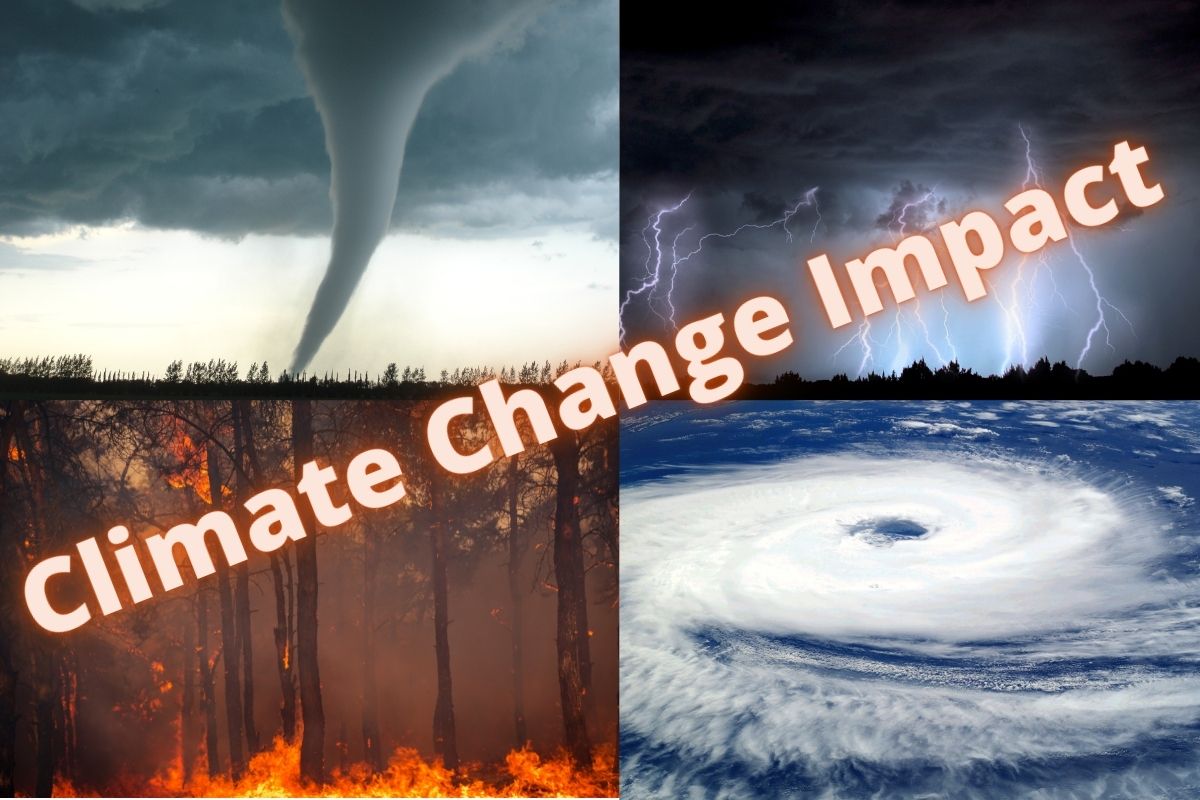 Insurance coverage - climate change impact