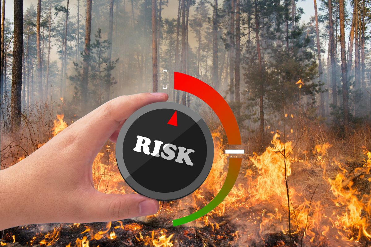 Wildfire insurance - Risk Assessment - Forest Fire