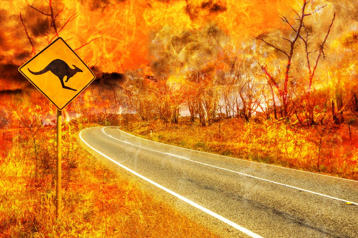 Home insurance - Australia bushfires