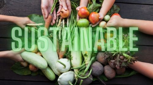 sustainable food systems