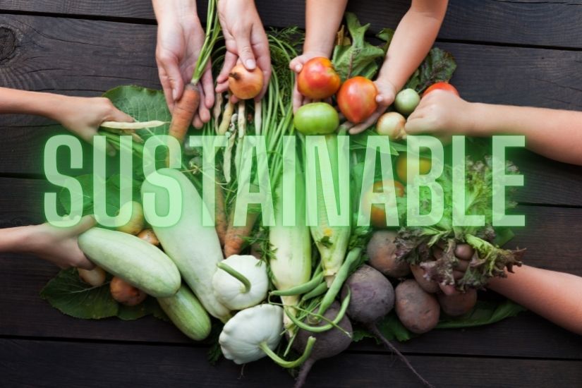 sustainable food systems