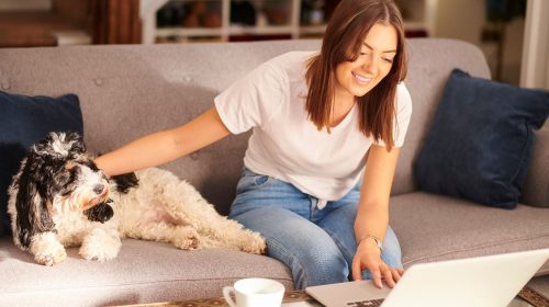 Pet insurance - Person with dog looking at computer