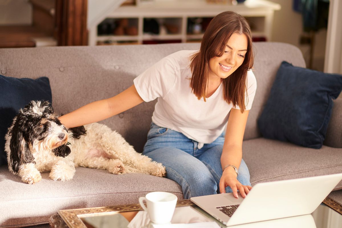 Pet insurance - Person with dog looking at computer