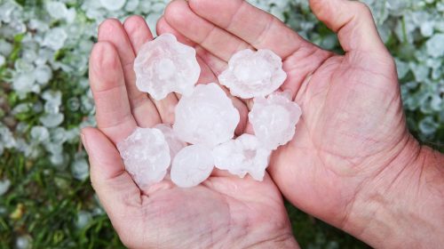 Hail Insurance - Person holding hail