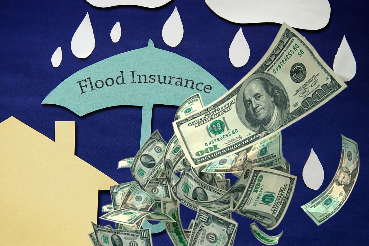 Flood Insurance Rates - Property