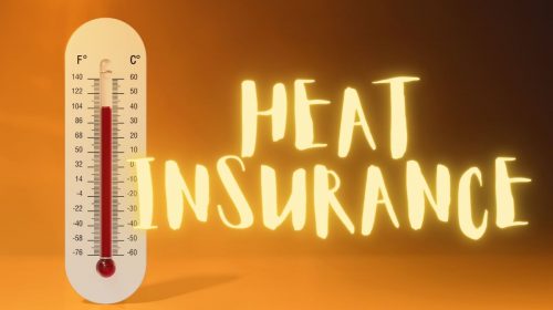 Heat insurance - Thermometer