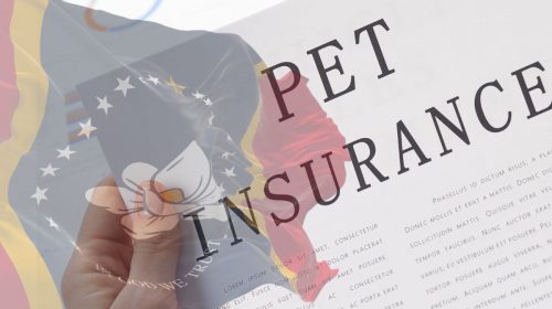 Pet Insurance - Mississippi Flag