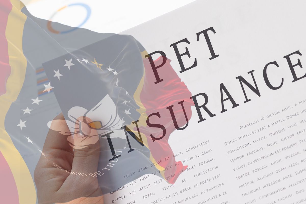 Pet Insurance - Mississippi Flag