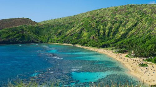 Insurance coverage - Coral Reefs in Hawaii